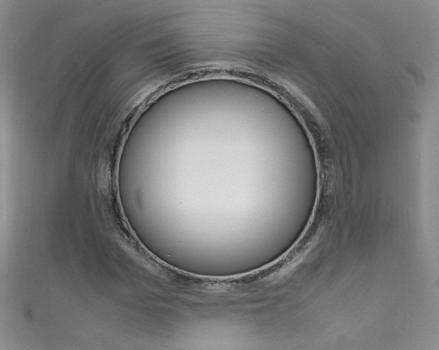 X0000111660969200907171116