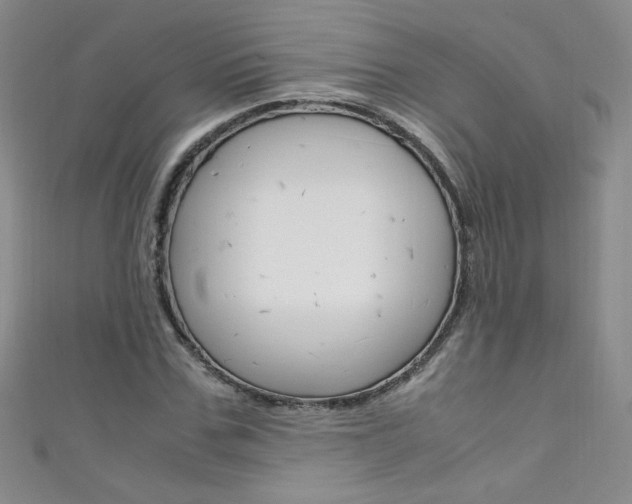 X0000111660971200907171116