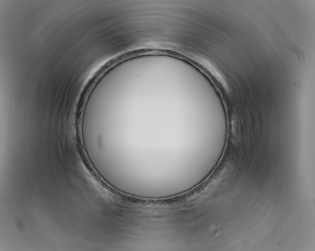 X0000111660972200907171116