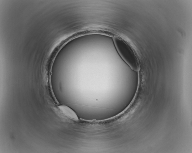 X0000111660973200907171116