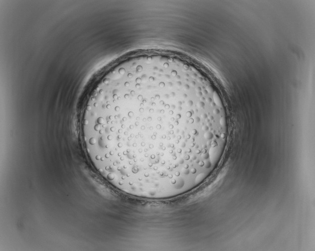 X0000111660974200907171116