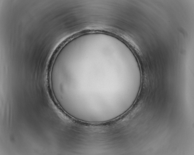 X0000111660976200907171116