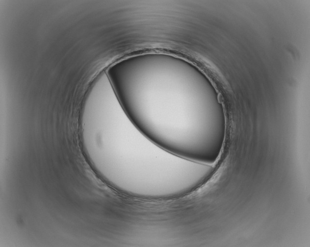 X0000111660977200907171116