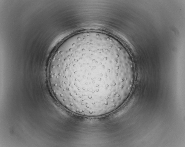 X0000111660978200907171116
