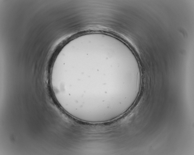 X0000111660979200907171116