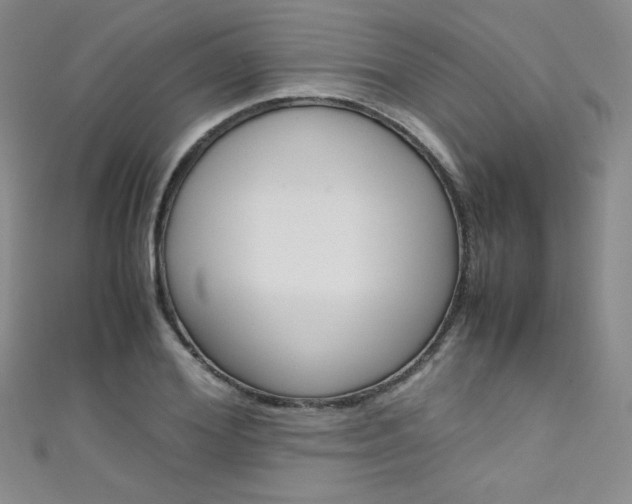 X0000111660980200907171116