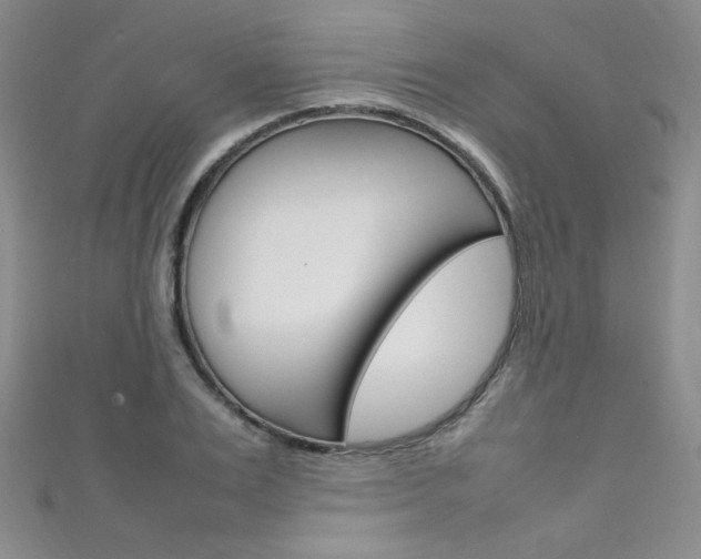 X0000111660983200907171116
