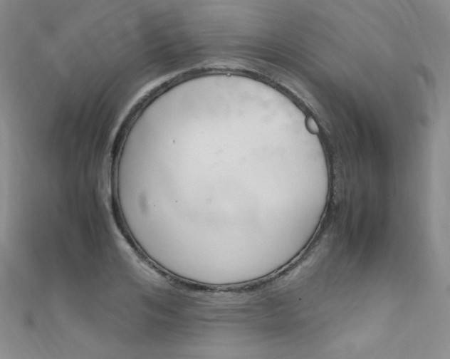 X0000111660984200907171116