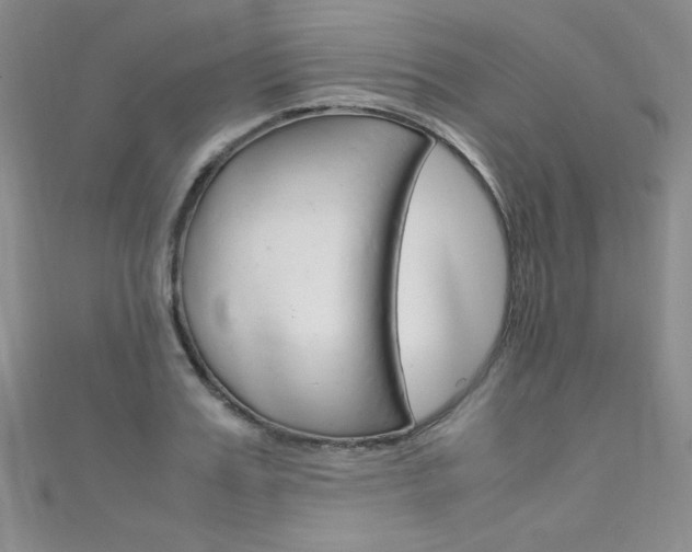 X0000111660987200907171116