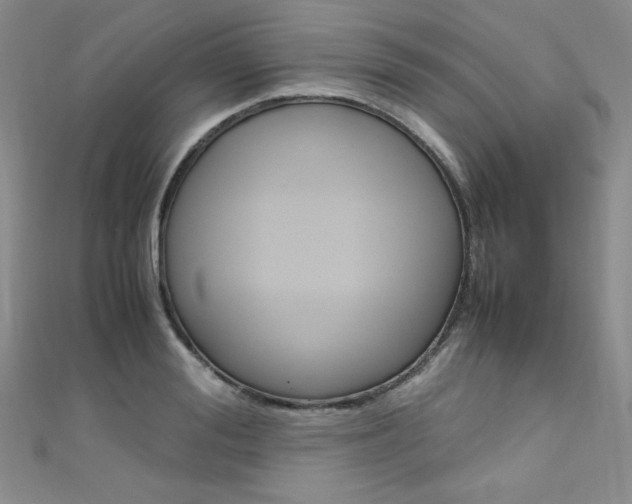 X0000111660988200907171116