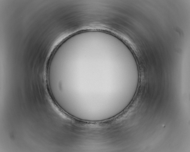 X0000111660990200907171116