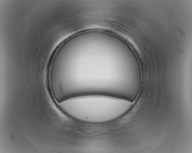 X0000111660991200907171116