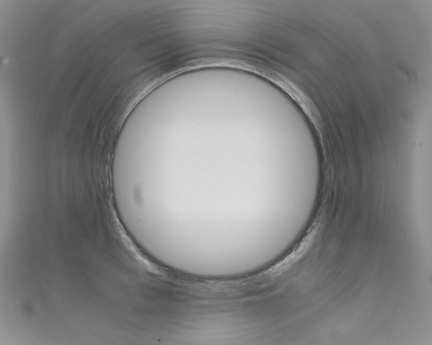 X0000111660993200907171116