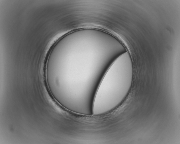 X0000111660995200907171116
