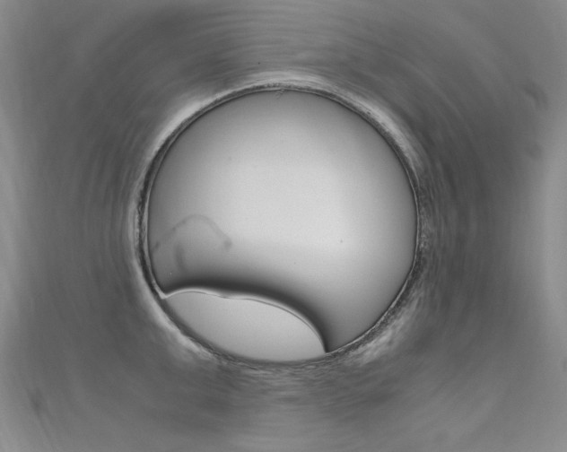 X0000111660999200907171116