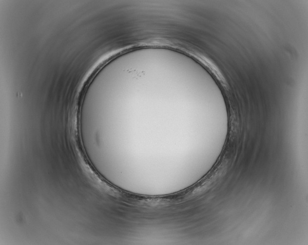 X0000111661000200907171116
