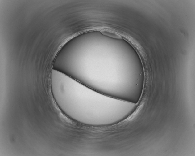 X0000111661001200907171116