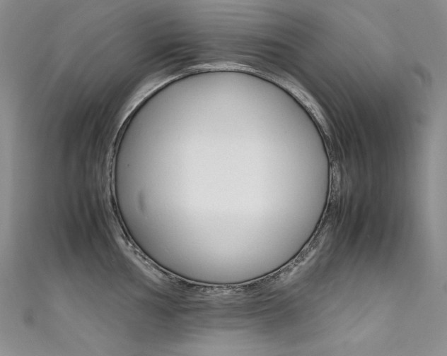 X0000111661002200907171115