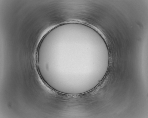 X0000111661003200907171115