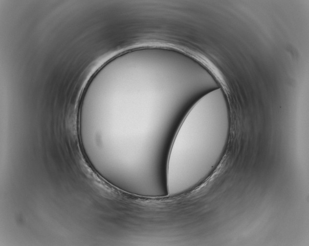 X0000111661004200907171115