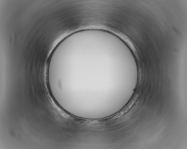X0000111661006200907171115