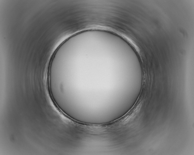 X0000111661007200907171115