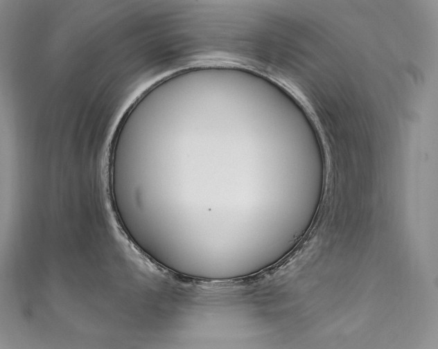X0000111661008200907171115