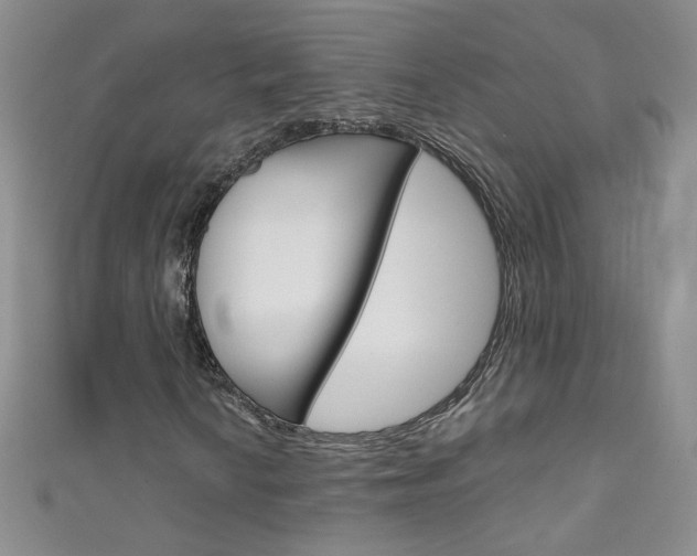 X0000111661010200907171115