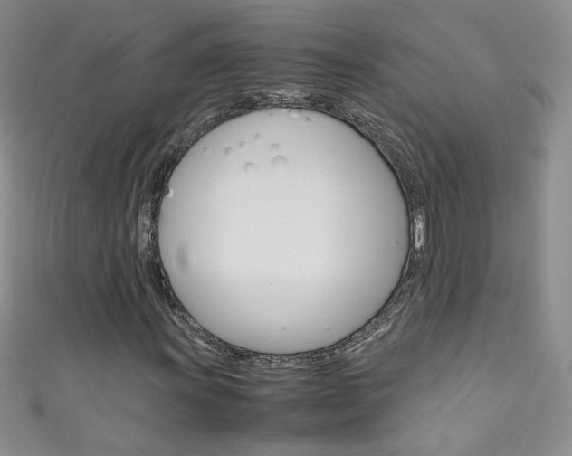 X0000111661011200907171115