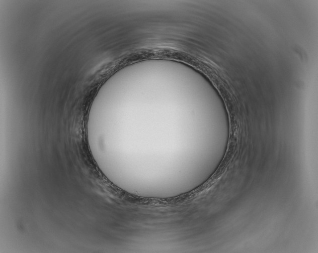 X0000111661014200907171115