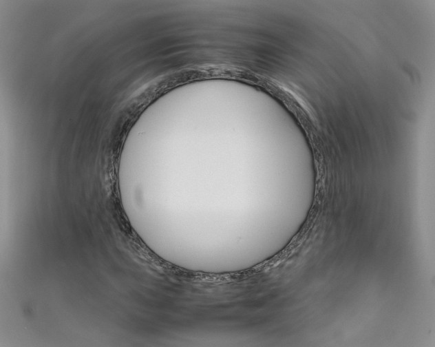 X0000111661015200907171115