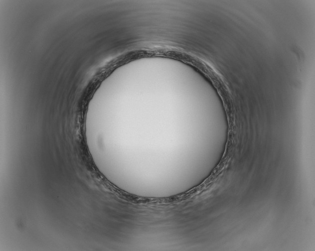 X0000111661016200907171115