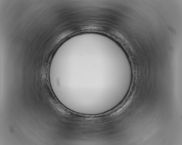 X0000111661017200907171115