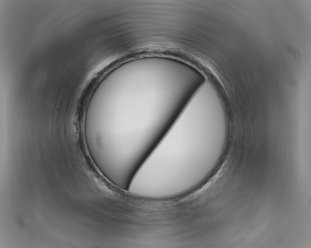 X0000111661018200907171115