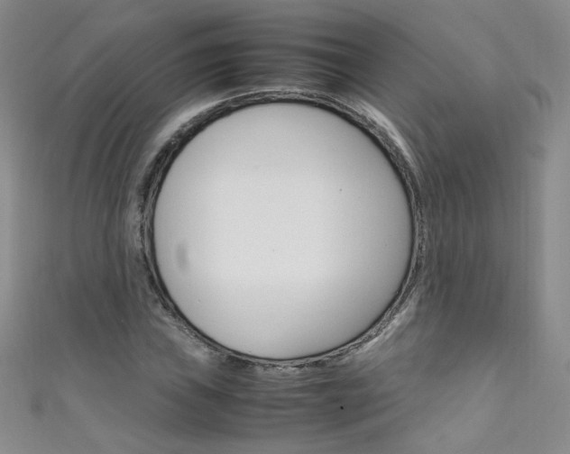 X0000111661019200907171115