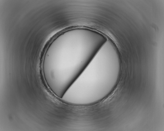 X0000111661020200907171115