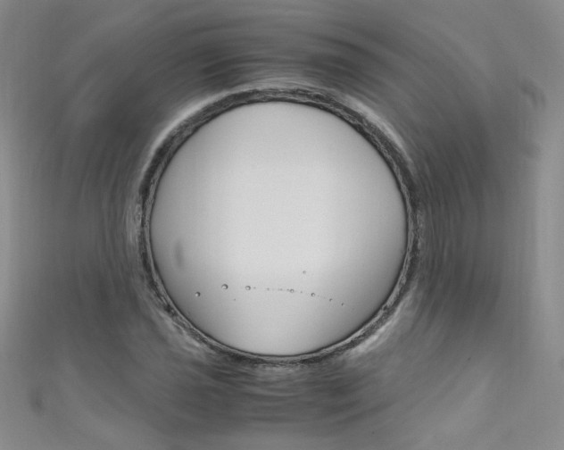 X0000111661021200907171115