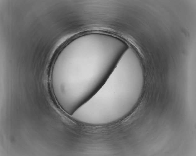 X0000111661024200907171115