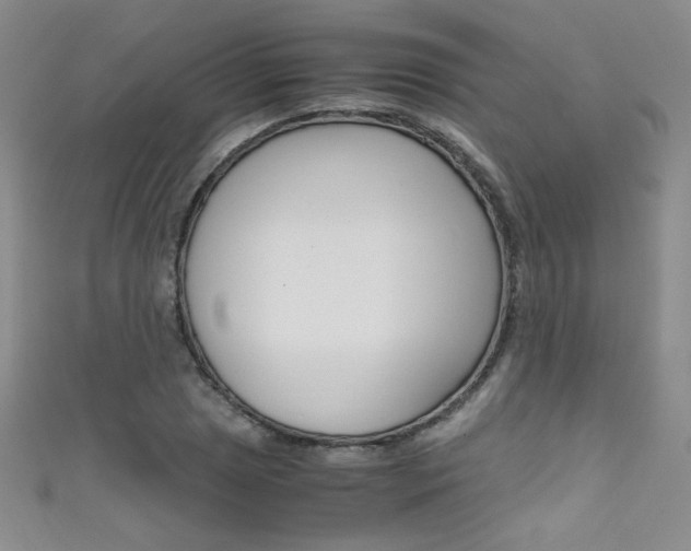 X0000111661025200907171115