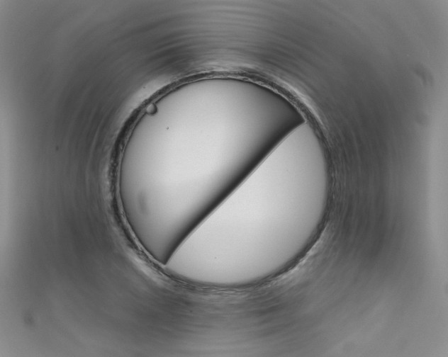 X0000111661026200907171115