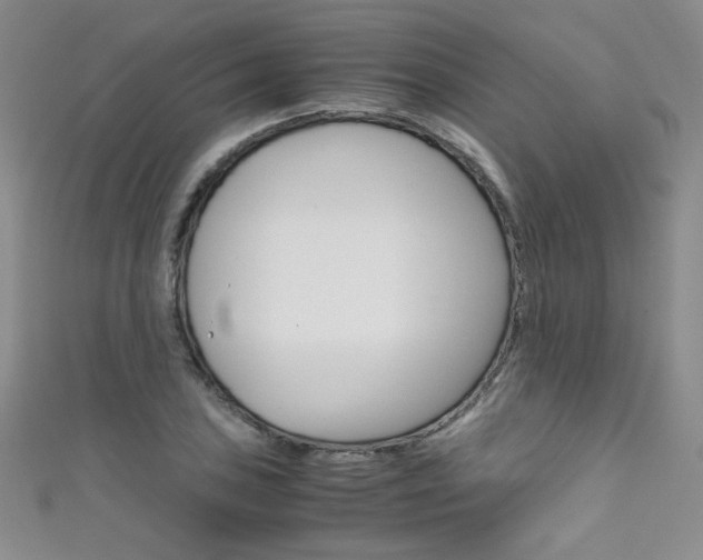 X0000111661027200907171115