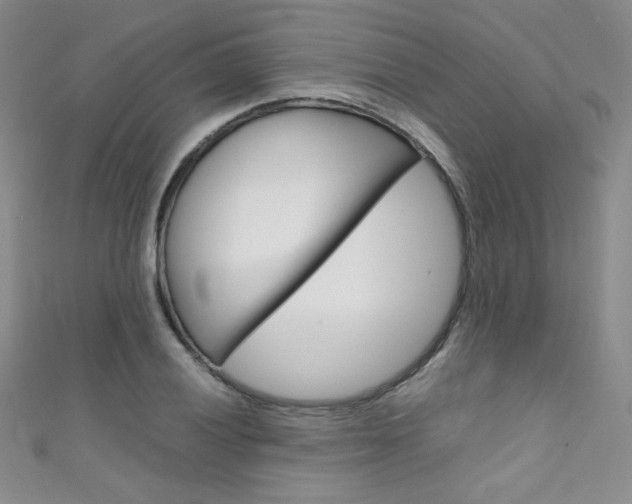 X0000111661028200907171115