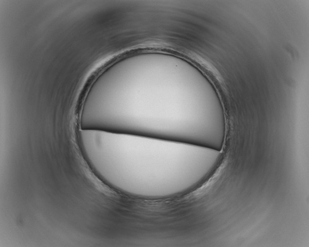 X0000111661029200907171115