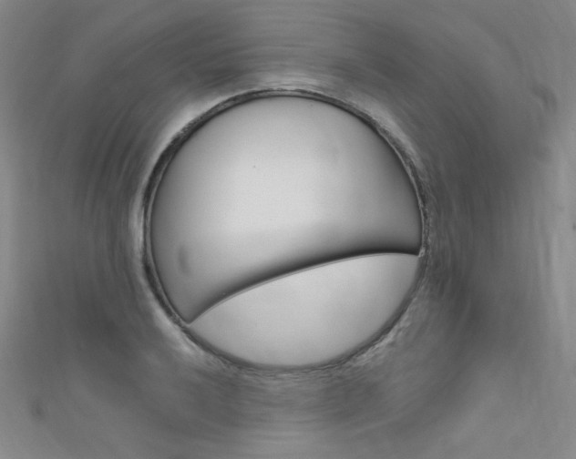 X0000111661032200907171115