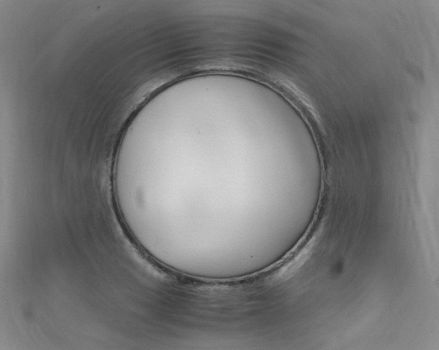 X0000111661033200907171115