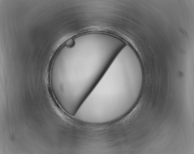 X0000111661034200907171115