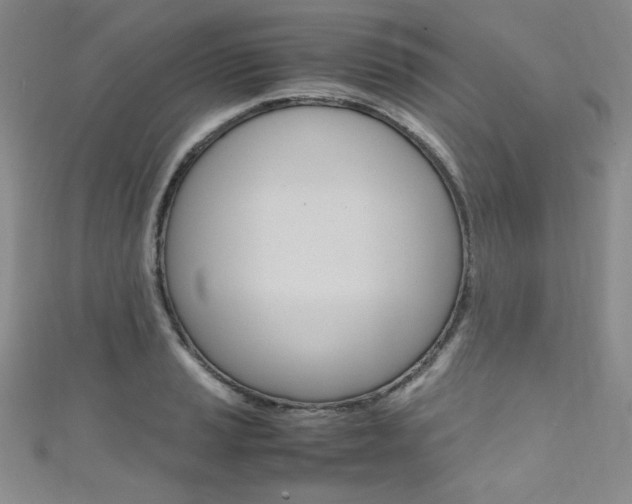X0000111661037200907171115