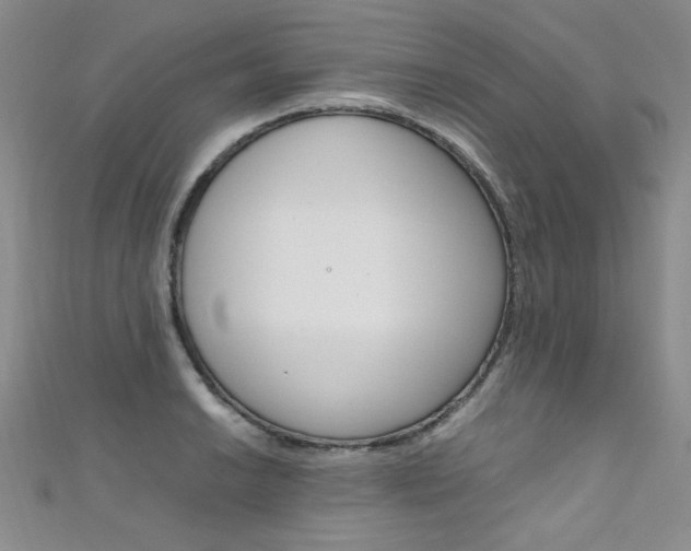 X0000111661038200907171115