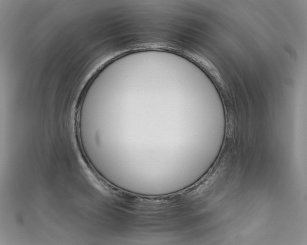 X0000111661039200907171115