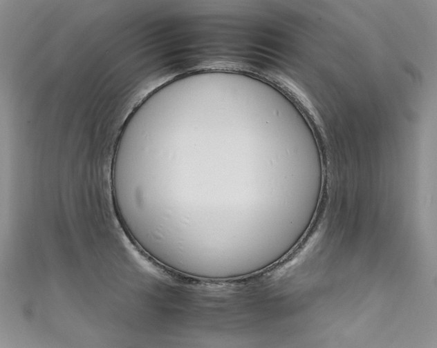 X0000111661041200907171115